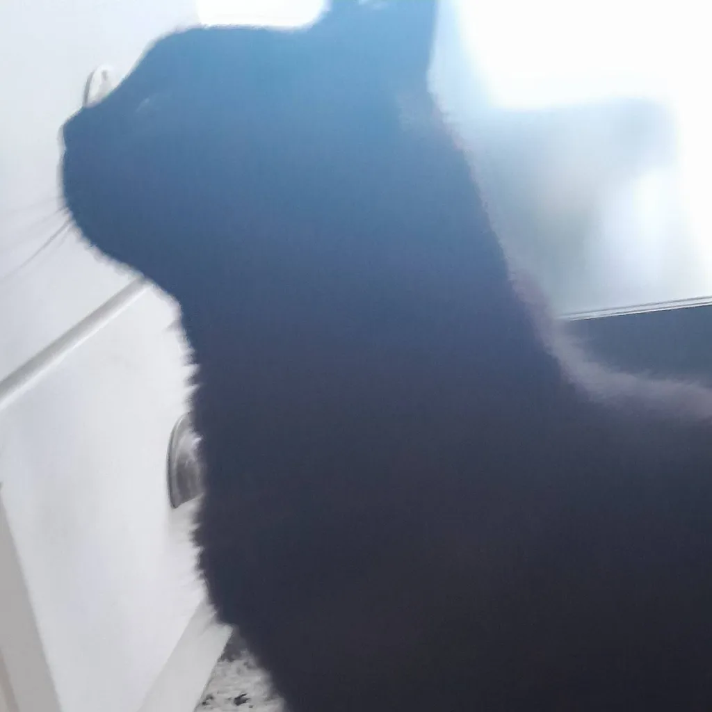 chat with ai character: Feel the beat