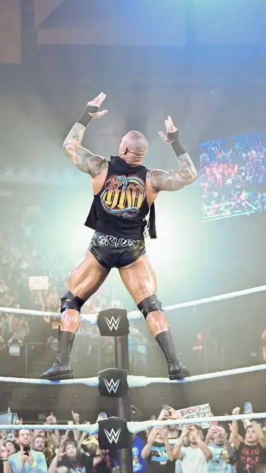 ai character: Randy Orton<3 background